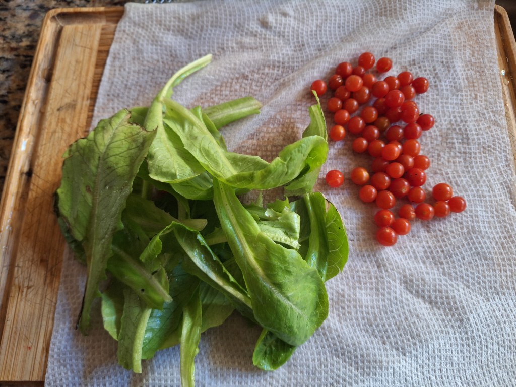 Early Spring: Enjoying Fresh Romaine and&nbsp;Tomatoes
