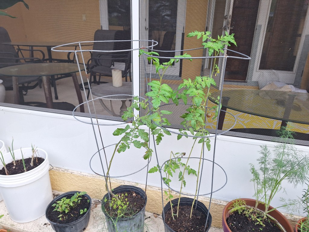 A Rainy Day in&nbsp;February